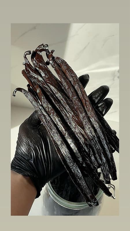 Păstăi de Vanilie Pompona Mexic Madagascar